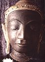 Buddha Head